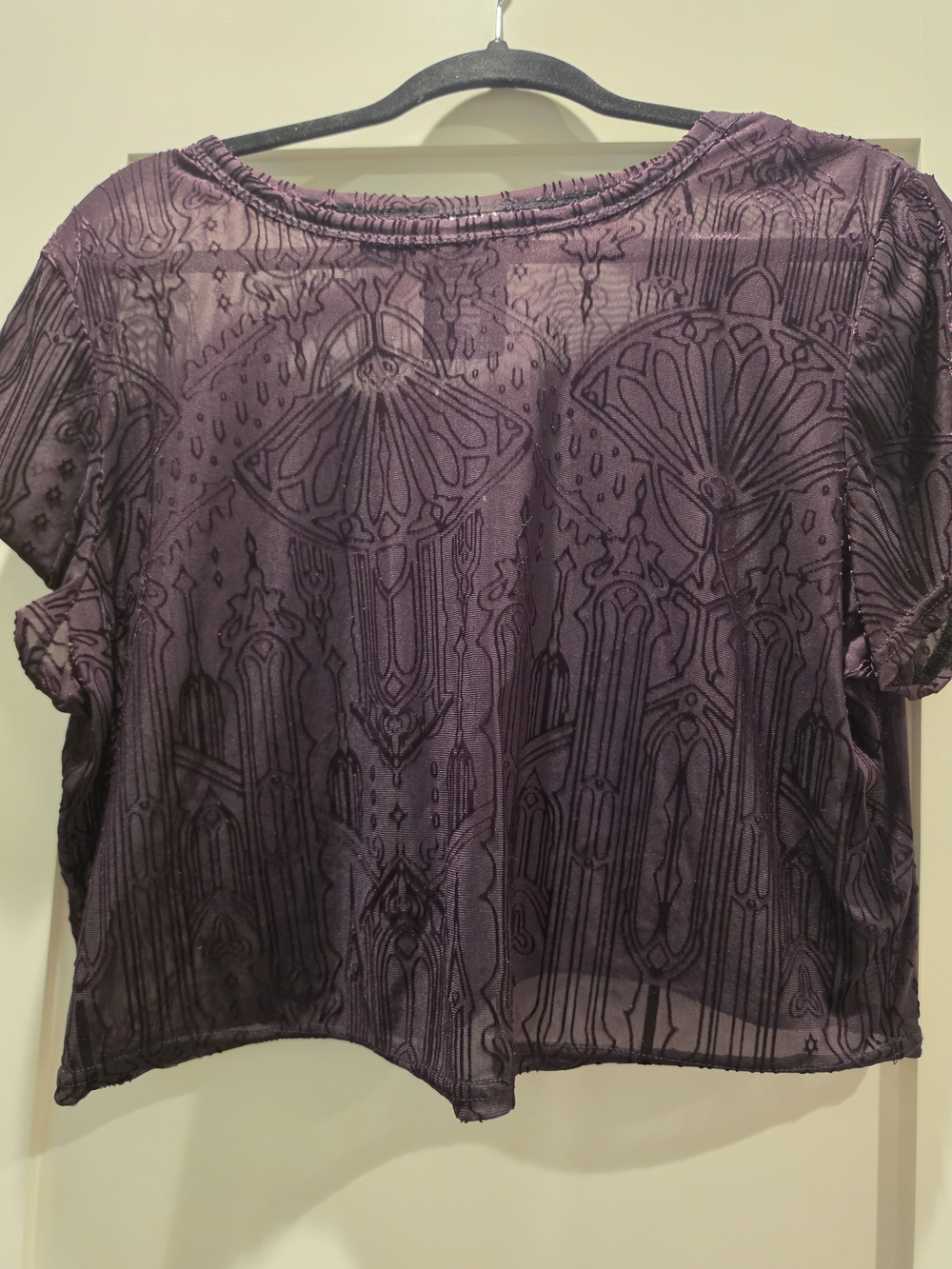 Killstar Sheer Embroidered Short Sleeve Top - Plum